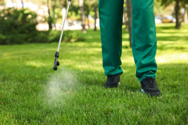 Flea Control Services in Von Ormy, TX