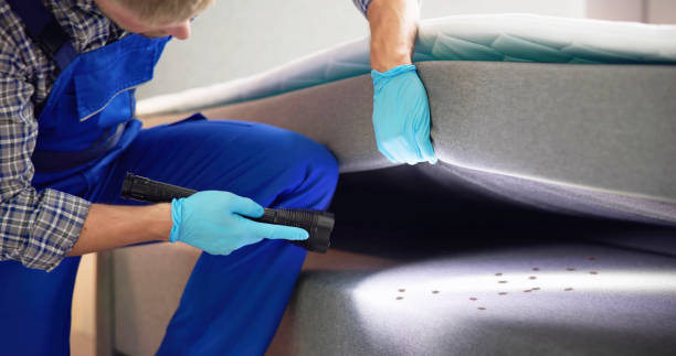 Best Affordable Pest Control Services  in Von Ormy, TX